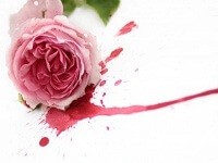 Fenomena Putus Sekolah Karena Hamil di Luar Nikah